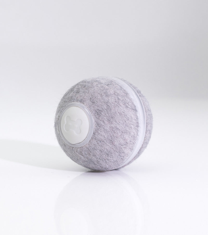 Balle interactive pour chat, jouet d'intérieur pour chat, rechargeable