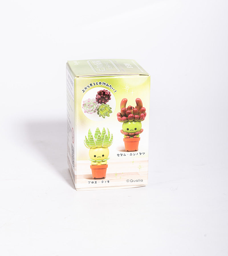 Figurine plante succulente - Blind box