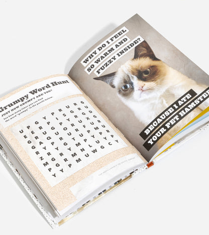 Grumpy Cat : le livre grincheux