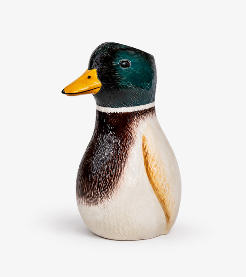 Vase canard colvert