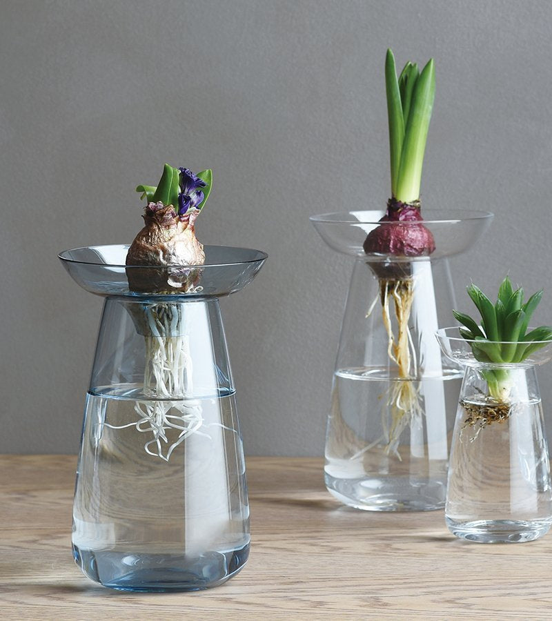 Vase à hydroculture