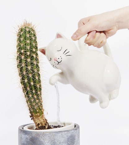 Arrosoir Chat