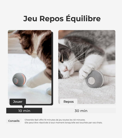 Balle interactive pour chats