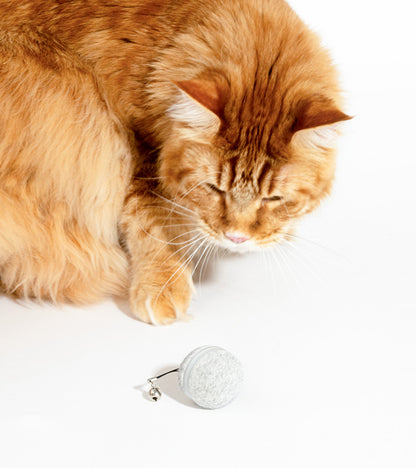 Balle interactive pour chats