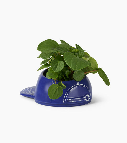 Bol multifonctions casquette de baseball