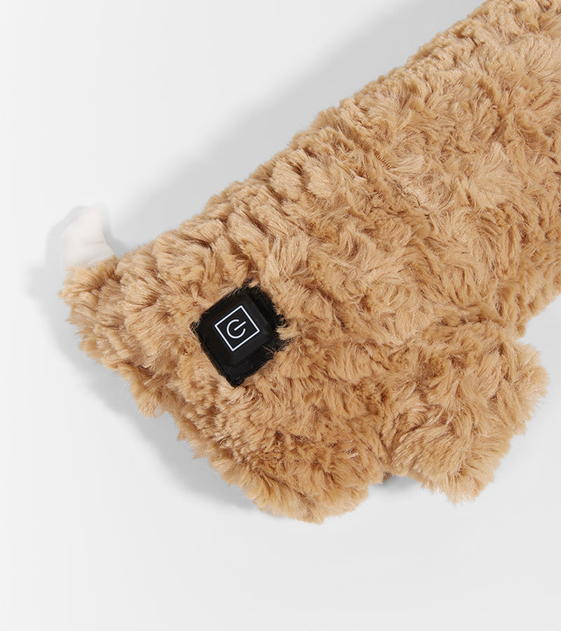 Bouillotte Teckel USB