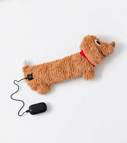 Bouillotte Teckel USB