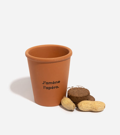 Cacahuètes à faire pousser  L'Avant Gardiste