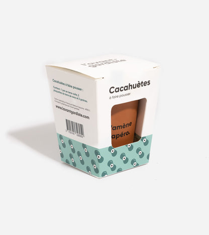 Cacahuètes à faire pousser  L'Avant Gardiste