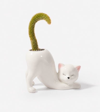 Cache-pot Chat Yoga