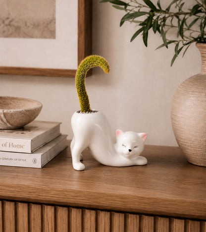 Cache-pot Chat Yoga