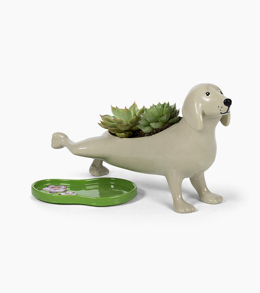 Cache-pot chien qui fait pipi