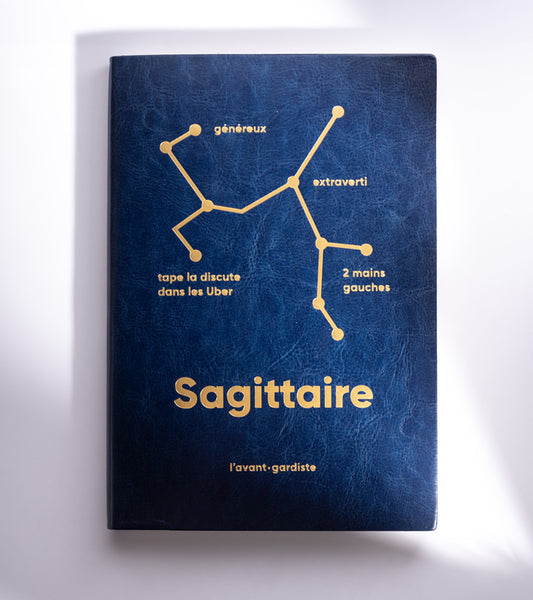 Carnet astro Gémeaux