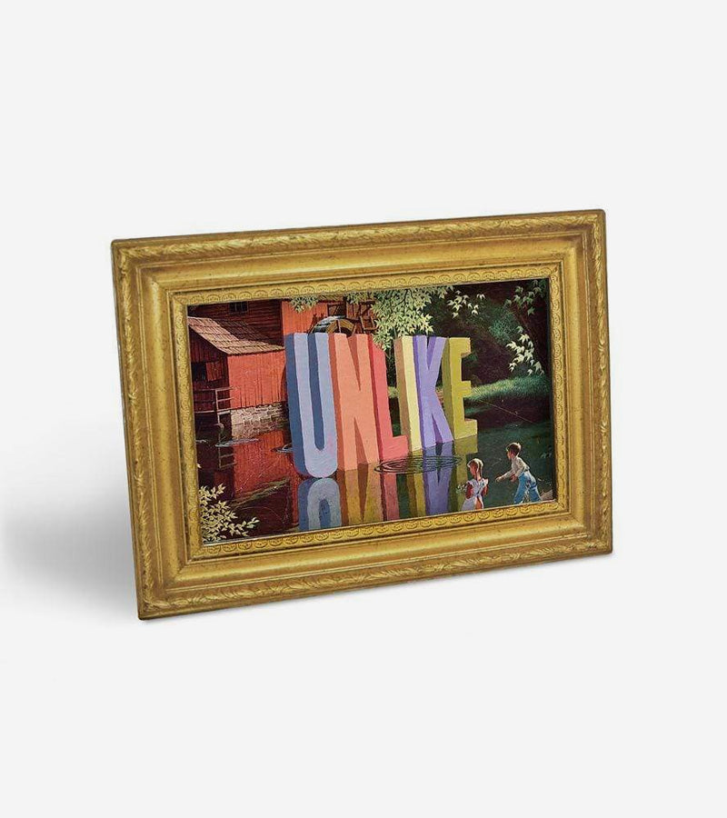 Cartes interchangeables - The Daily Shitshow