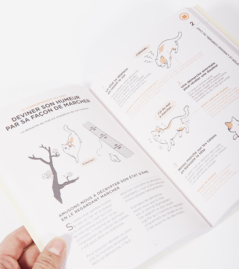 Ce que chat veut dire