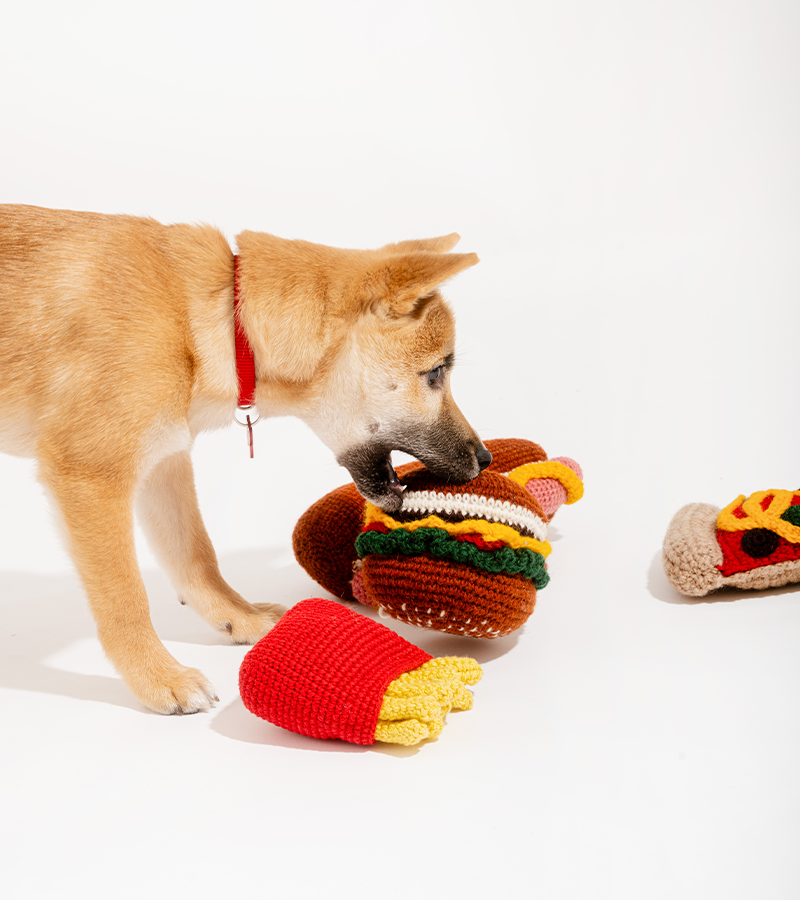 Jouets en laine pour chiens : Fast food