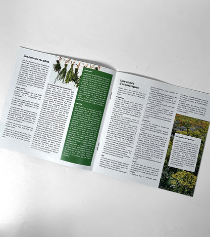 Coffret de 40 sachets de graines