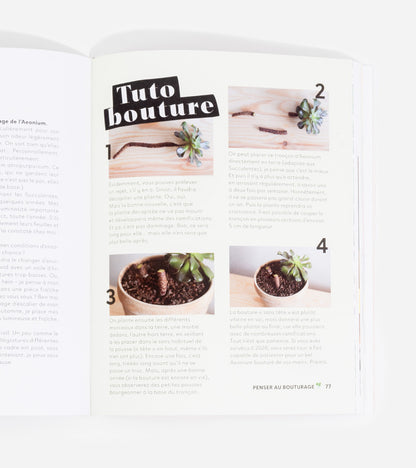 Livres Comment ne pas faire crever ses plantes  Hachette Pratique