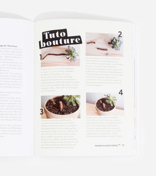 Livres Comment ne pas faire crever ses plantes  Hachette Pratique