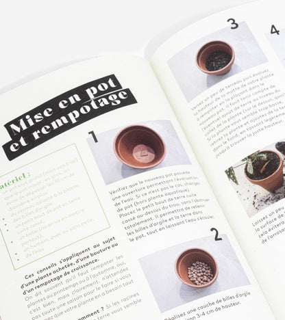 Livres Comment ne pas faire crever ses plantes  Hachette Pratique