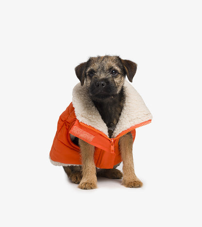 Doudoune en sherpa pour chiens XS  French bandit