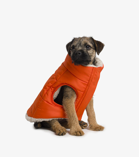 Doudoune en sherpa pour chiens S  French bandit