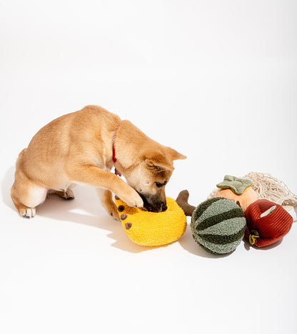 Lot de jouets pour chiens - Panier de fruits