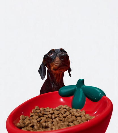 Gamelle fraise en céramique