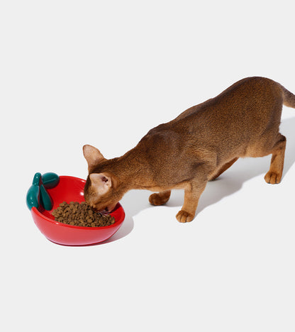 Gamelle fraise en céramique