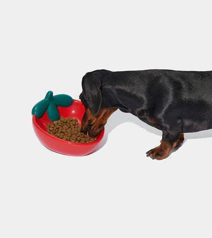 Gamelle fraise en céramique