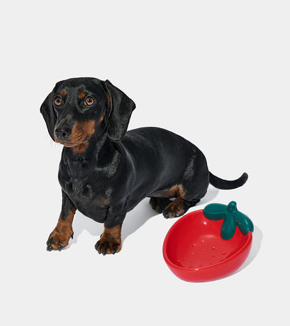 Gamelle fraise en céramique