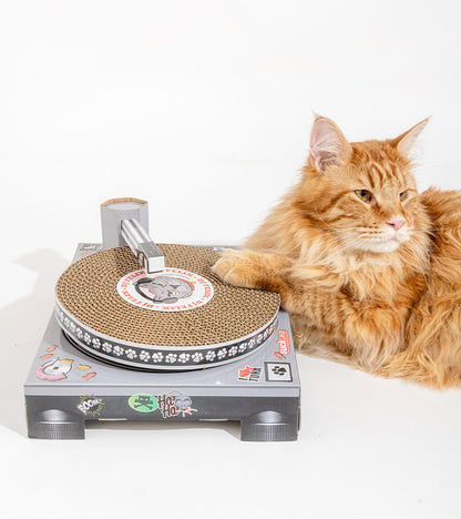 Griffoir DJ set pour chats