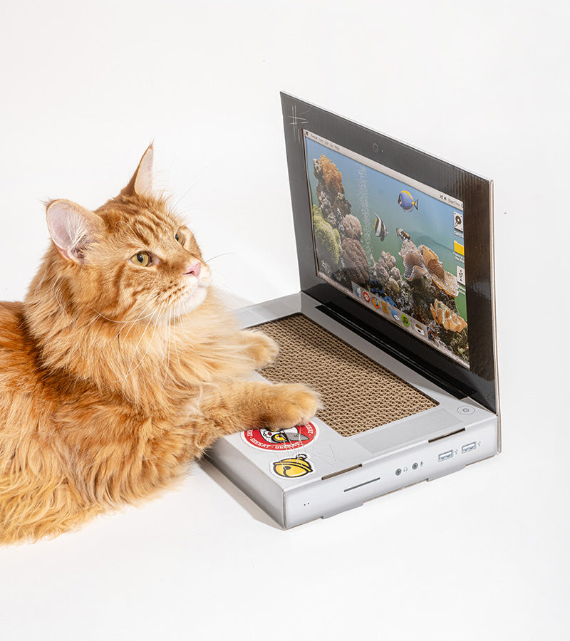 Griffoir ordinateur pour chats