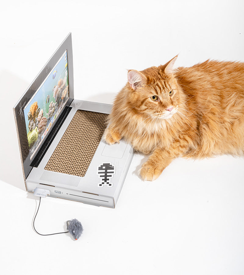 Griffoir ordinateur pour chats