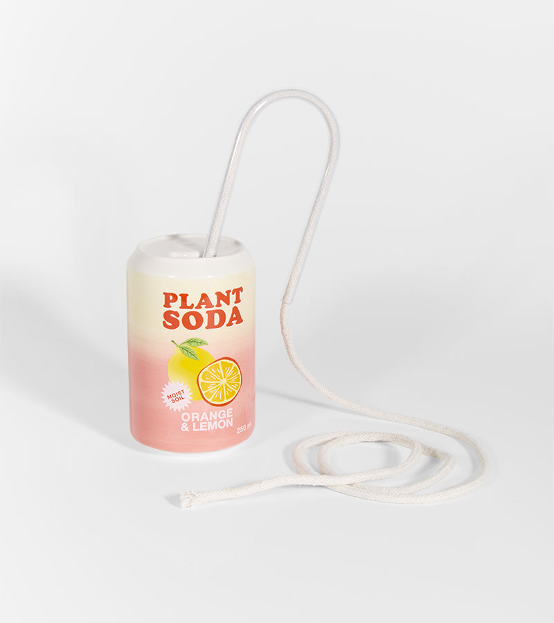 Irrigateur pour Plante Canette Soda