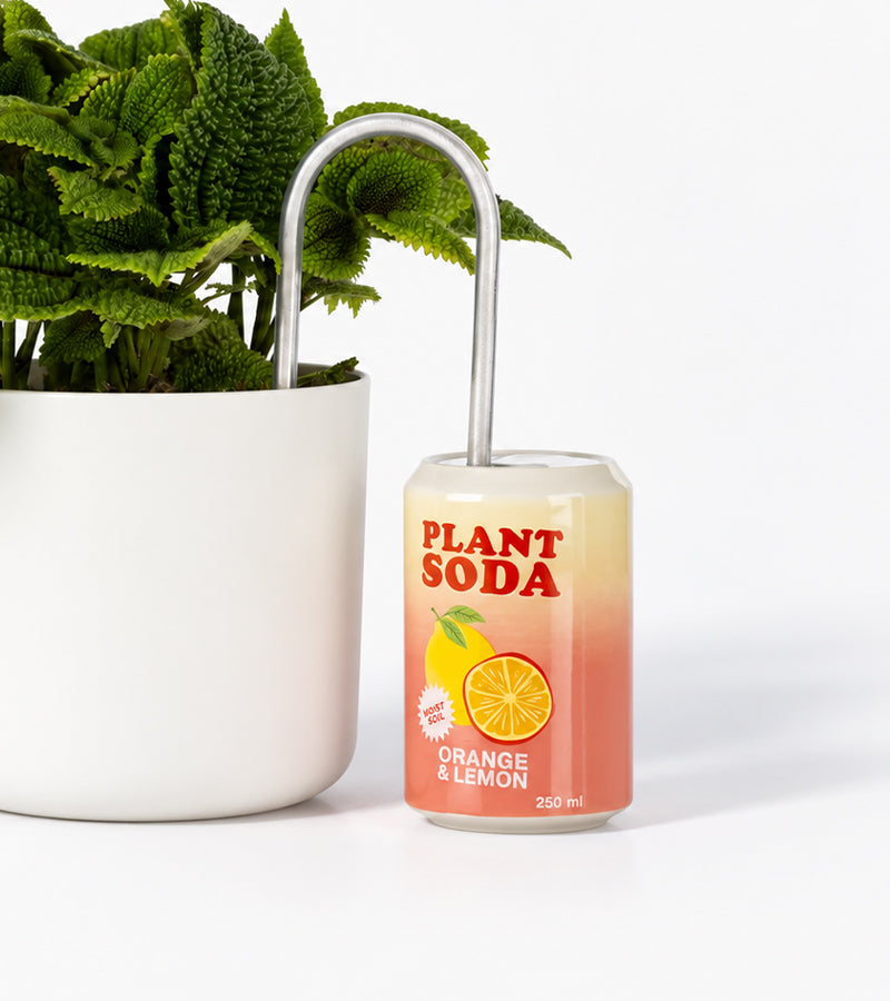 Irrigateur pour Plante Canette Soda