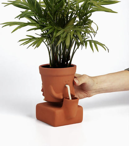 Jardinière autonome qui a soif