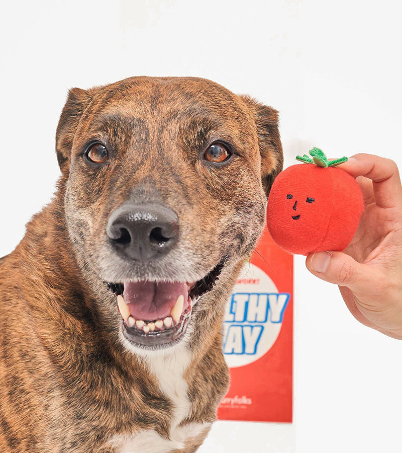 Jouet à tirer pour chiens : Tomates cerises