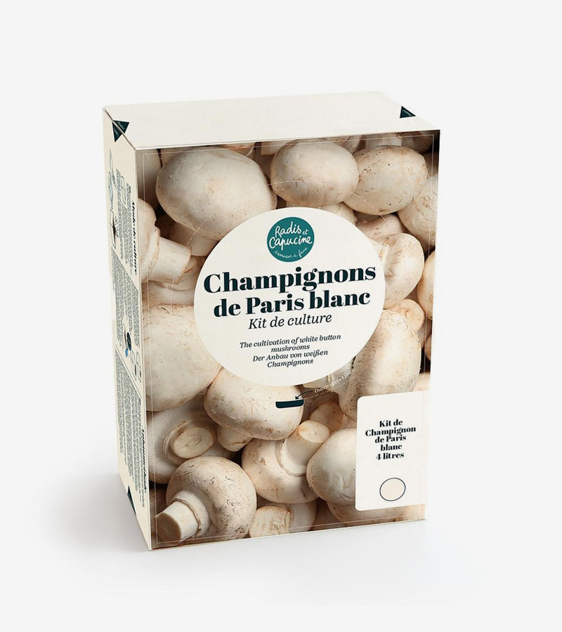 Kit Champignon Hallucinogenenull