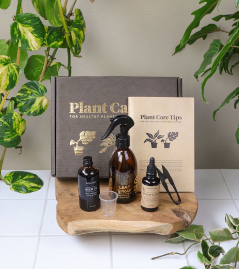Kit d'entretien pour plantes