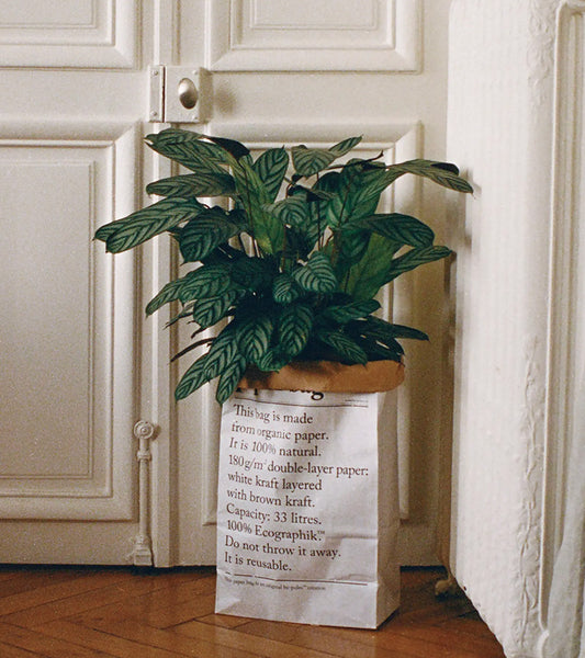 Le sac en papier végétal kraft
