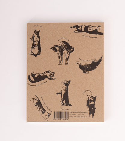 Livres Le Yoga du Chat  Hachette Pratique