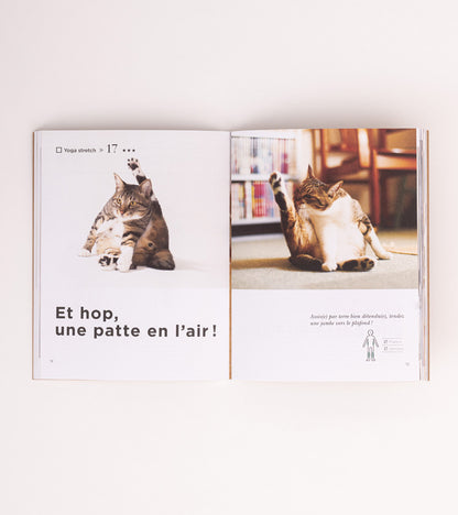 Livres Le Yoga du Chat  Hachette Pratique