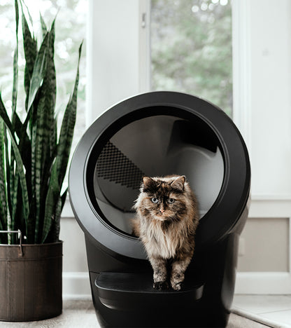 Litière autonettoyante - Litter-Robot 4  