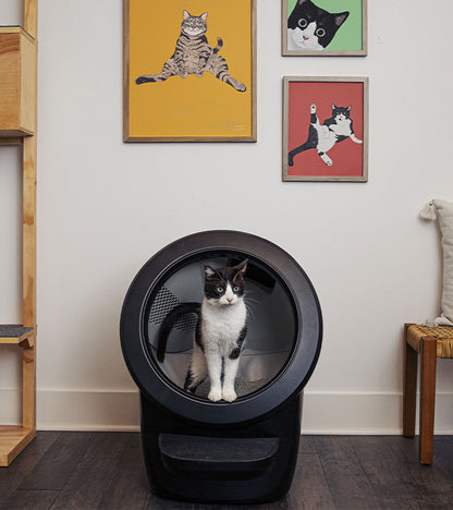 Litière autonettoyante - Litter-Robot 4  