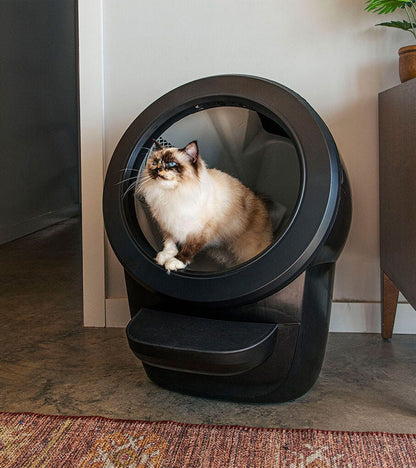 Litière autonettoyante - Litter-Robot 4