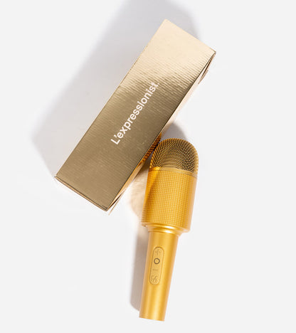 Micro enceinte Karaoké