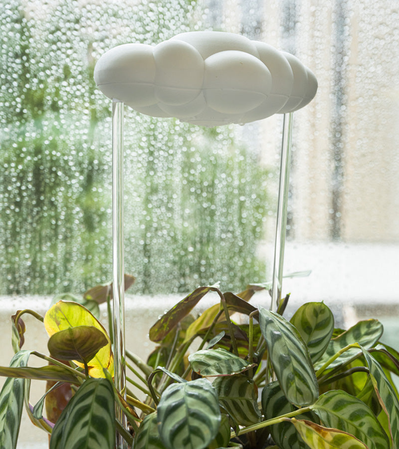 Nuage de pluie pour plantes, arrosage automatique. – L'avant gardiste