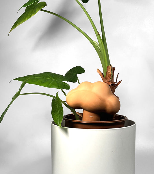 Nuage irrigateur en terre cuite