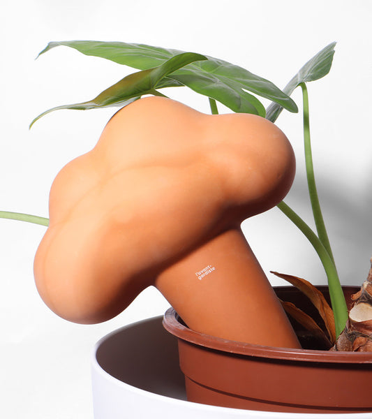 Nuage irrigateur en terre cuite